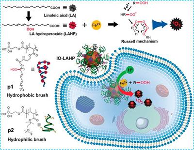 Biomimetic Nanomaterials Triggered Ferroptosis for Cancer Theranostics